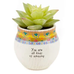 Natural Life Faux Succulent All Kinds Of Amazing Mini Planter, 2"