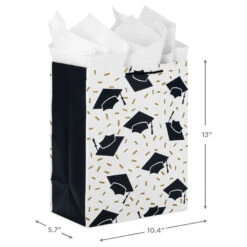 Hallmark 13" Assorted Grad Designs 3-Pack Large Gift Bags With Tissue Paper -Cozy Home Accents Deals Store Assorted Grad Designs 3Pack Large Gift Bags With Tissue Paper 5GBC1015 03
