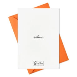 Hallmark Boo To You Boxed Halloween Cards Assortment, Pack Of 36 -Cozy Home Accents Deals Store Boo to You Boxed Halloween Cards Assortment 5ELT1011 08