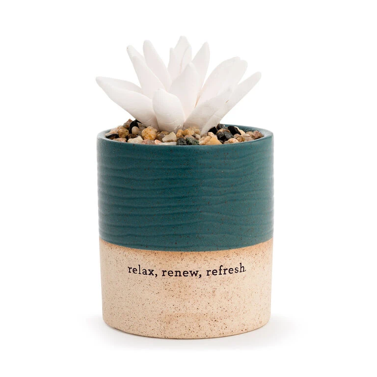 Demdaco Relax Succulent Oil Diffuser 1 Demdaco Relax Succulent Oil Diffuser