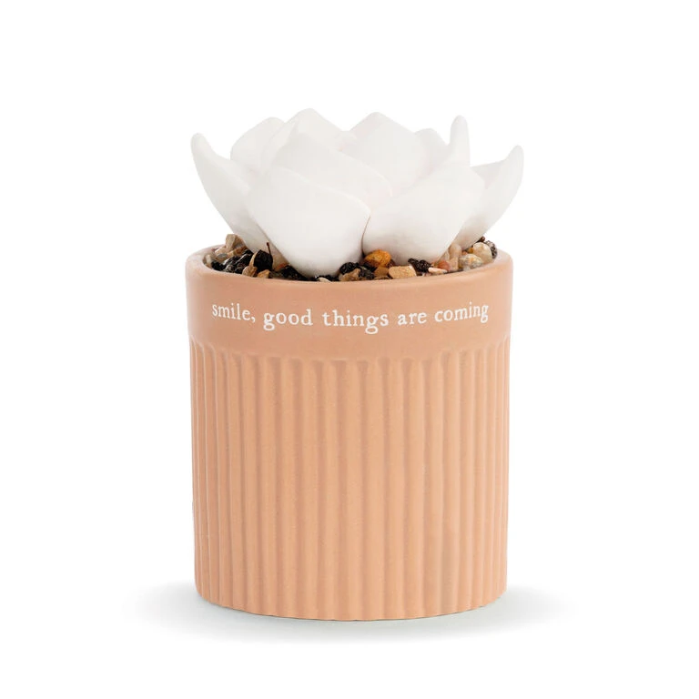 Demdaco Smile Succulent Oil Diffuser 1 Demdaco Smile Succulent Oil Diffuser