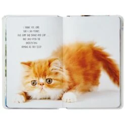 Hallmark Pet Prayers: Funny Pleas And Praise From Our Animal Friends Book -Cozy Home Accents Deals Store Pet Prayers Funny Pleas and Praise From Our Animal Friends Book root 1BOK1418 BOK1418 1470 3.jpg Source Image