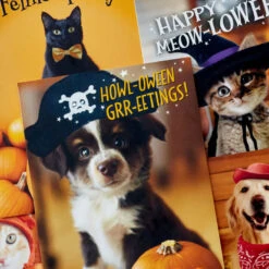 Hallmark Pet Puns Boxed Halloween Cards Assortment, Pack Of 48 -Cozy Home Accents Deals Store Pet Puns Boxed Halloween Cards Assortment 5ELT1013 03