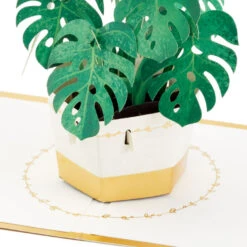 Hallmark Plant In Pot 3D Pop-Up Thinking Of You Card 11 Hallmark Plant In Pot 3D Pop-Up Thinking Of You Card -Cozy Home Accents Deals Store Plant in Pot 3D PopUp Thinking of You Card 1299LAD2900 03