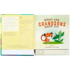 Hallmark What Are Grandsons Made Of? Recordable Storybook -Cozy Home Accents Deals Store What Are Grandsons Made Of Recordable Storybook 1KOB1230 03
